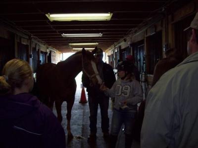 Demo on how to properly groom a horse for showmanship!
