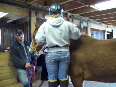 Learning how to properly band a horses mane!